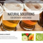 Brewing microsite