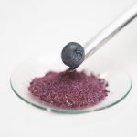 blueberry-extract-plate-mazza_portraits-2152