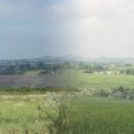 langton-merged-before-after