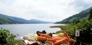 Collaboration fund to supercharge Scotland’s food innovation