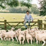 Mikael_Buck_Sainsburys_Lambs-2