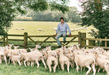 Sainsbury’s supports British farmers with new season lamb commitment