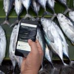 Provenance tracking tuna