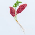 Aleph Farms Beefs Up Clean Meat