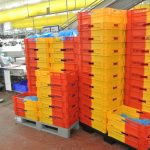 Bi-colour crates stacked in meat processing plant