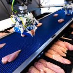 Dutch collaboration research flexible robotics for food production