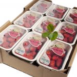 Top-sealable compostable, recyclable strawberry punnet