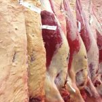 Key beef processor sees uplift in prime cattle hitting market spec