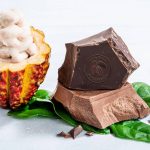 Barry Callebaut debuts ingredients utilising entire cacao fruit