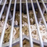 Close up of dough in mixing machine in biscuit factory