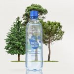 C45cn Image Bottle & Trees