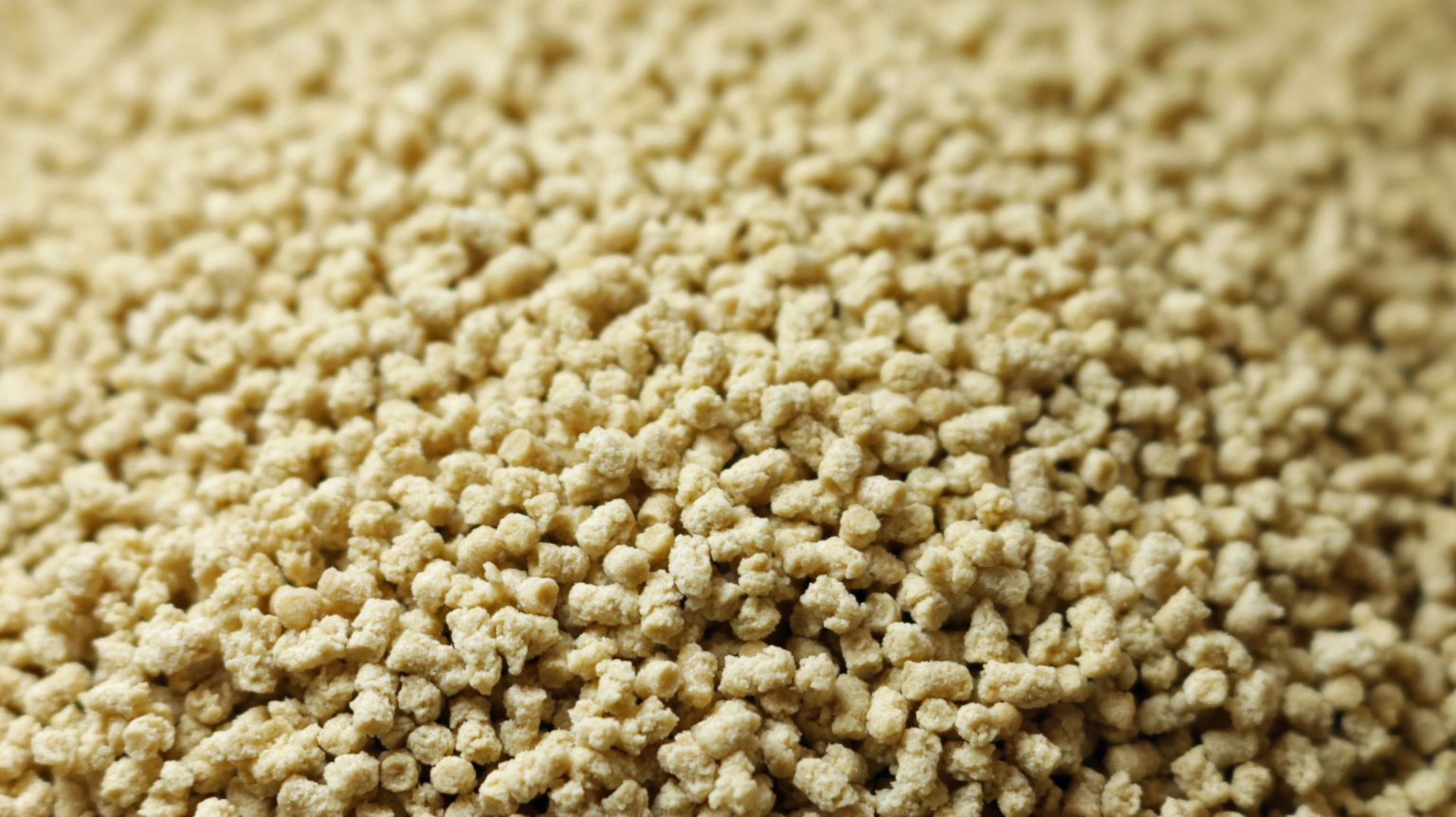 Loryma expands portfolio of high-protein crispies Lory® IsoCrisp with ...