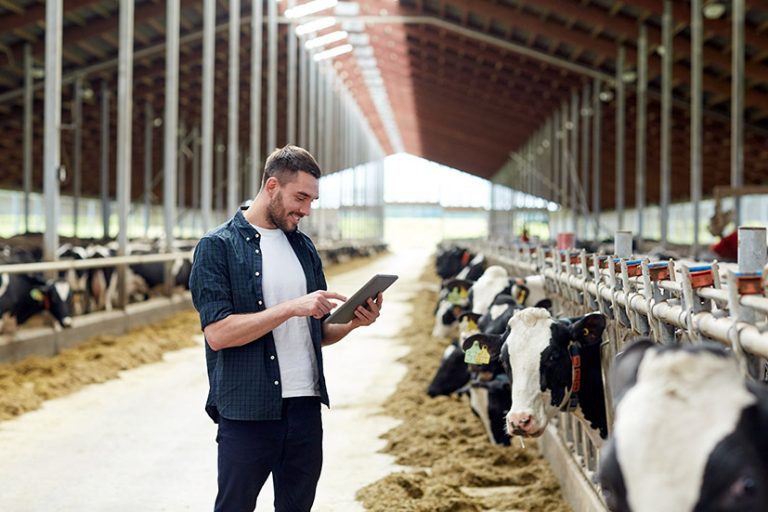 Sainsbury’s invests in new AI vet tech to enhance animal welfare on dairy farms